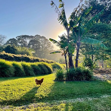 Lily Pad At Byron Bay Villa ภายนอก รูปภาพ