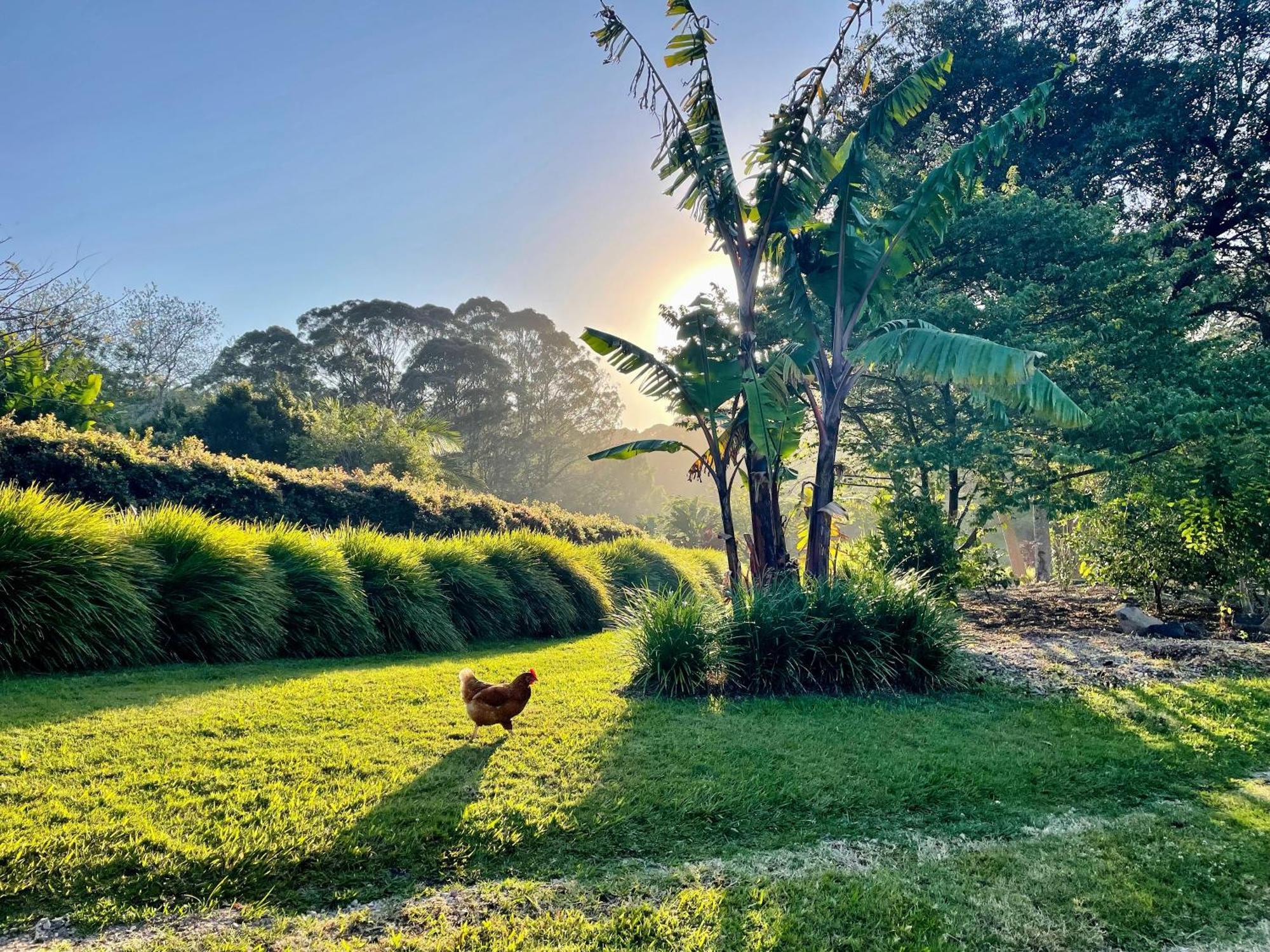 Lily Pad At Byron Bay Villa ภายนอก รูปภาพ